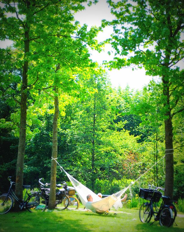 summer in amsterdam