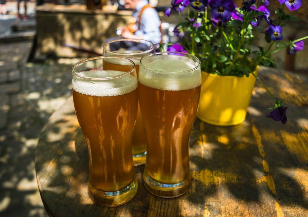 3 pint beers in garden with flowers