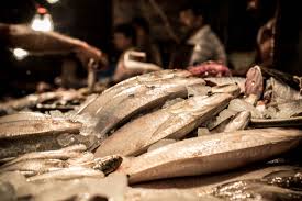 Mercato_del_Pesce_di_Porta_Nolana_Naples