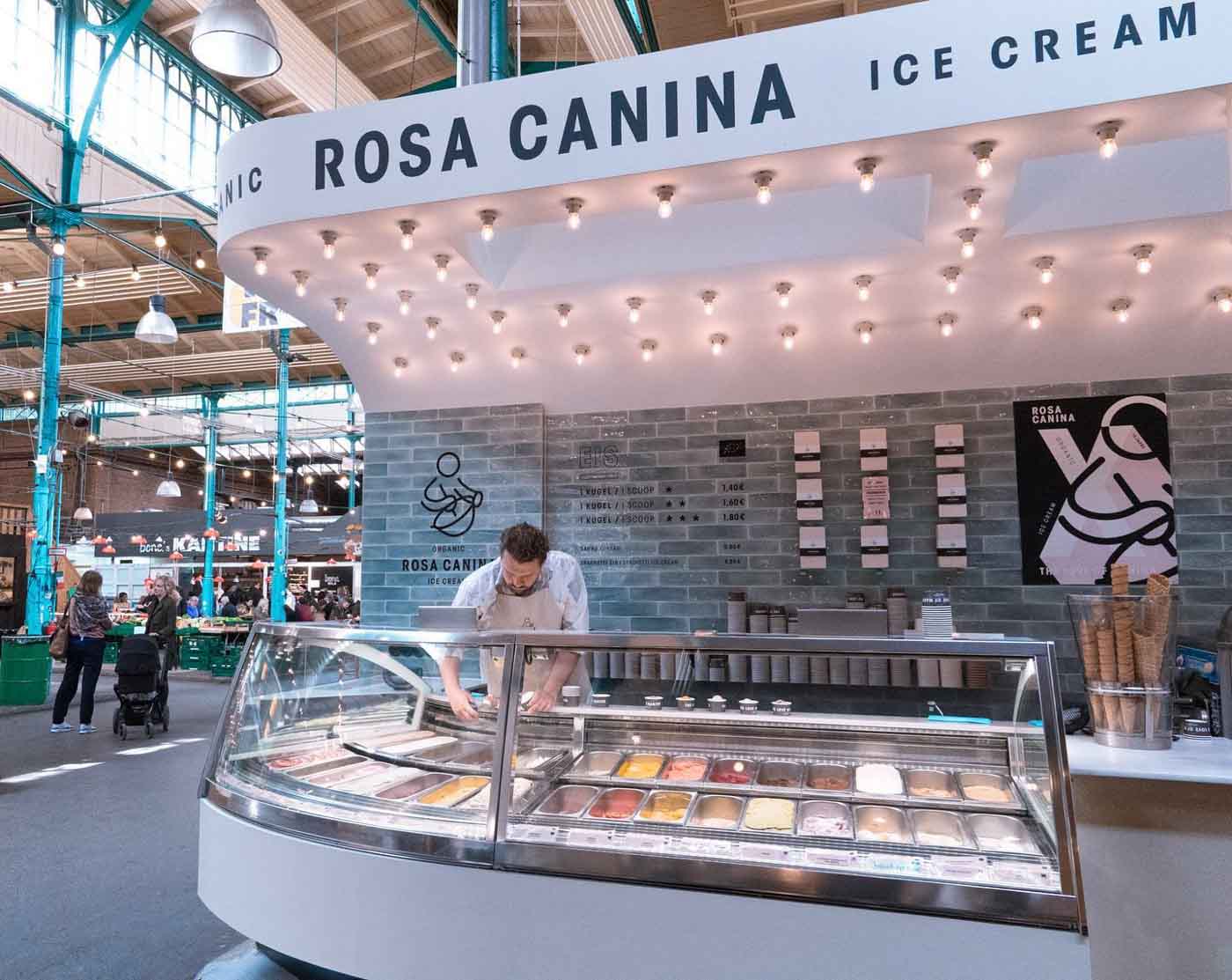 Rosa_Canina_Berlin