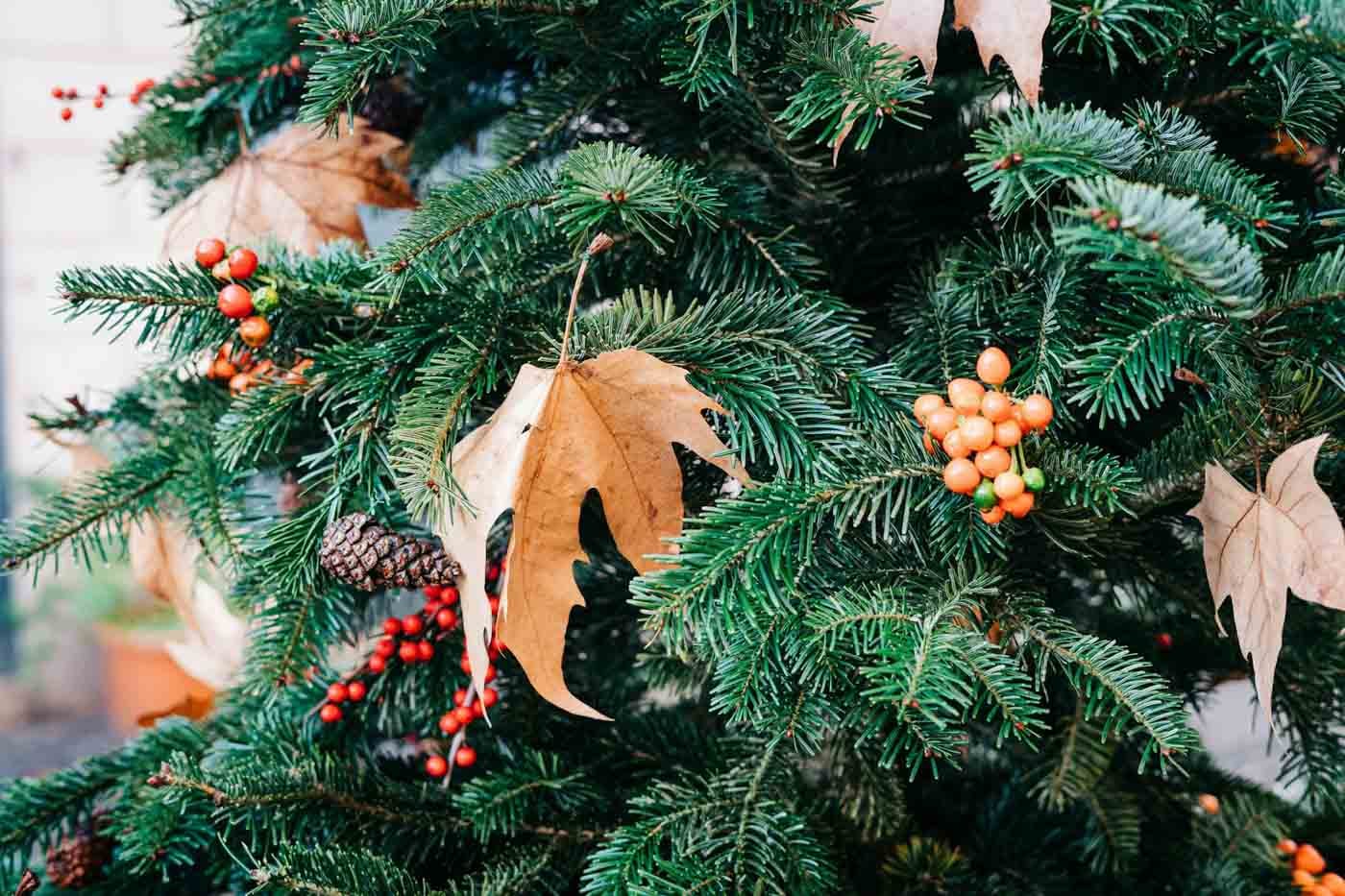 Close_up_of_Christmas_tree_Rome
