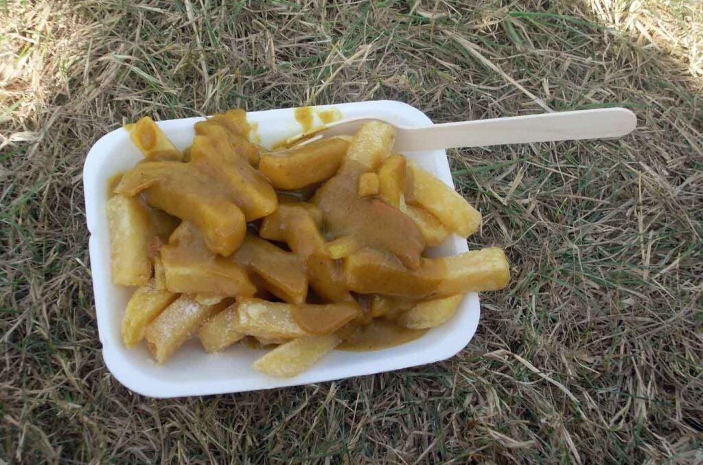 Curry_chips_Dublin