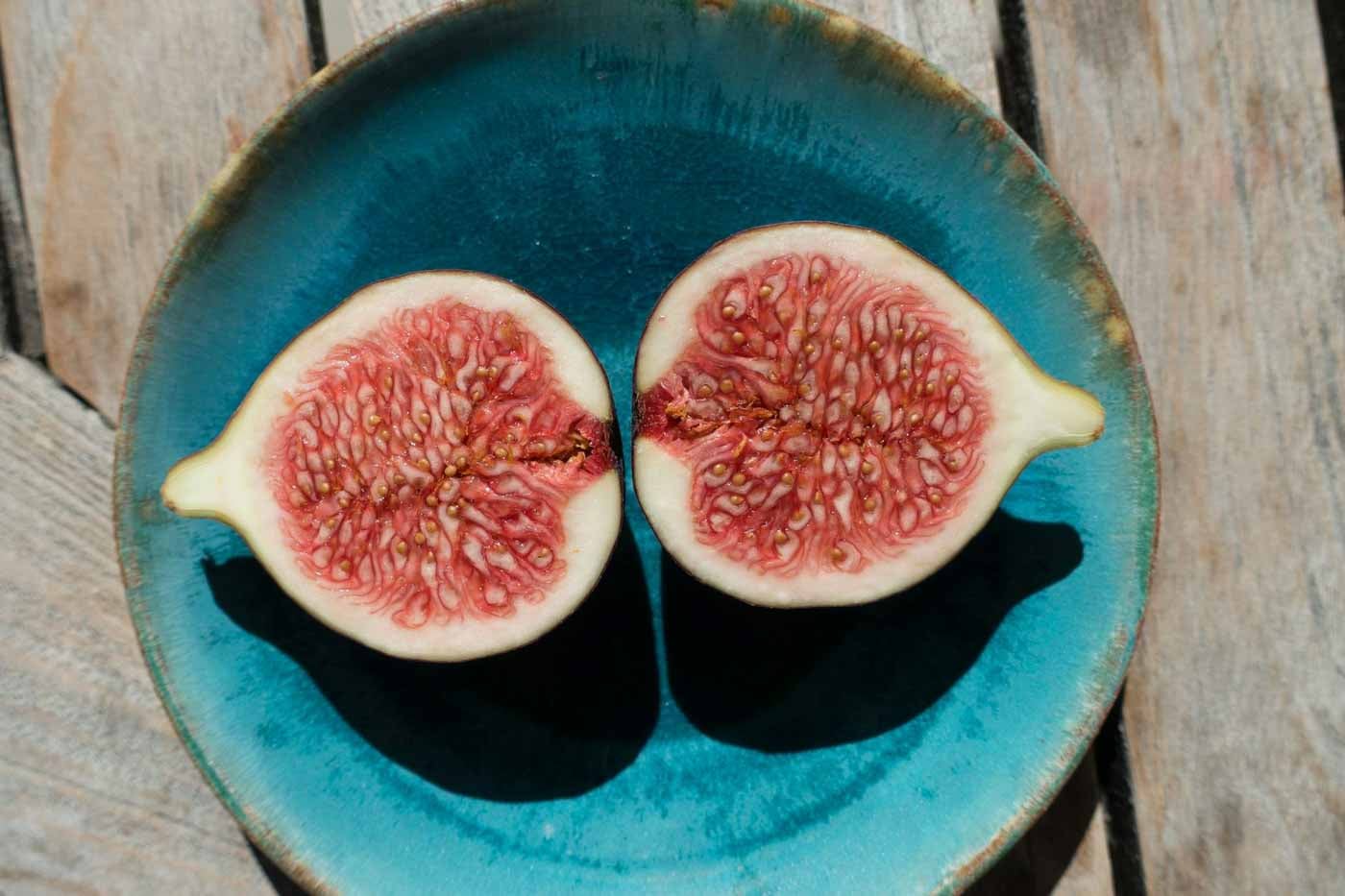Figs_Seville