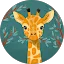 Mary G Avatar