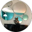 Jill Sooley Avatar