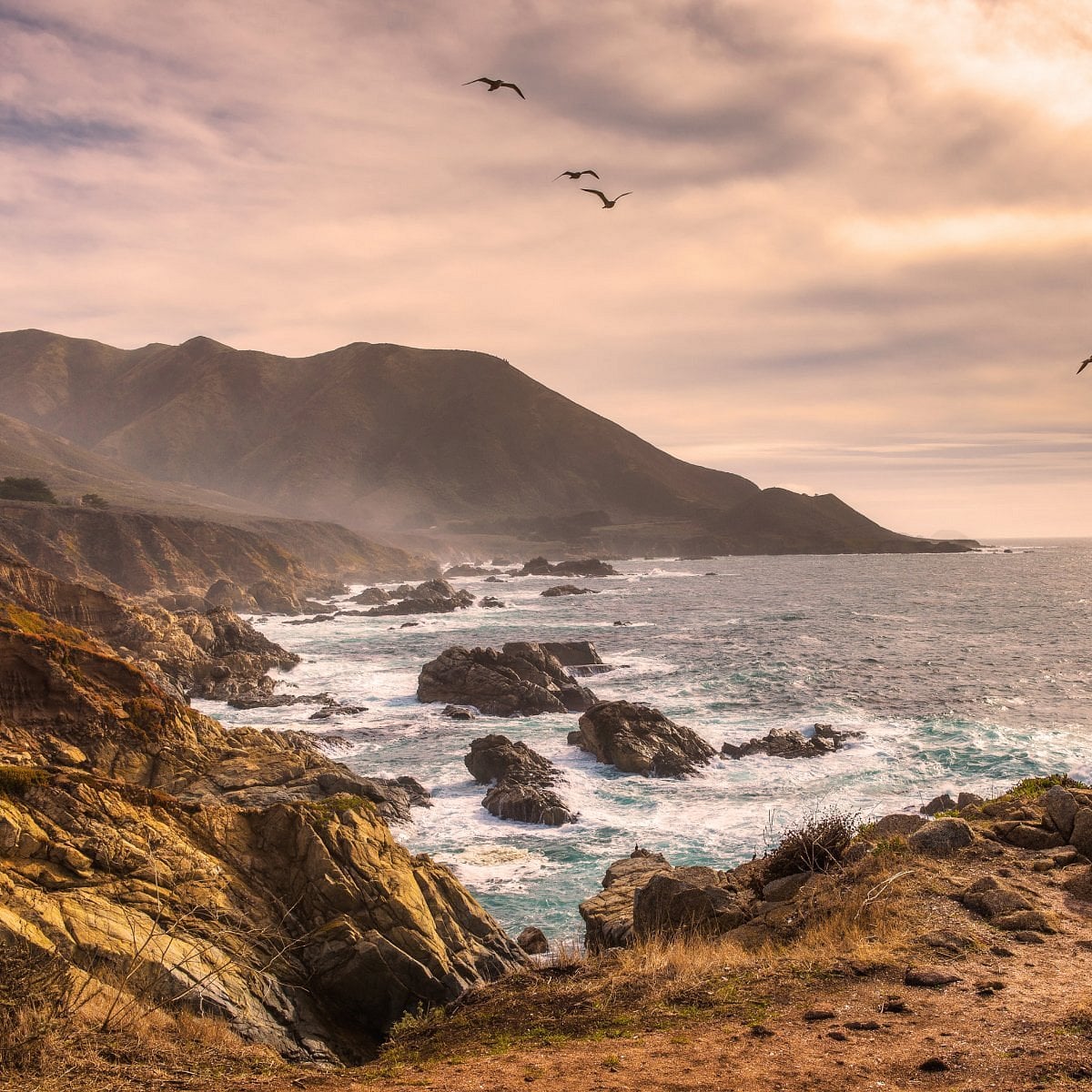 acphillips2018 Avatar