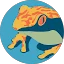 Lisa Pickett Avatar