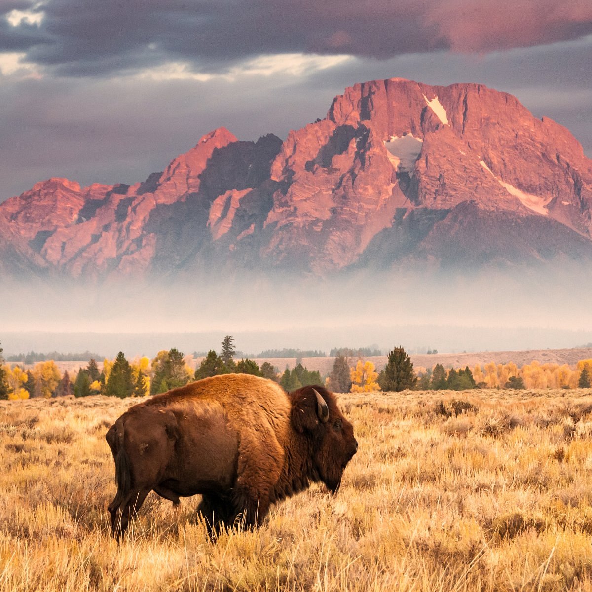 Cary W Avatar